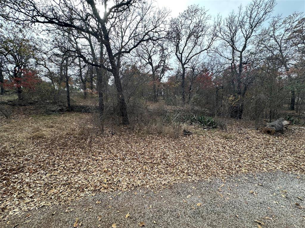 Brownwood, TX 76801,TBD Lot 48 County Road 600