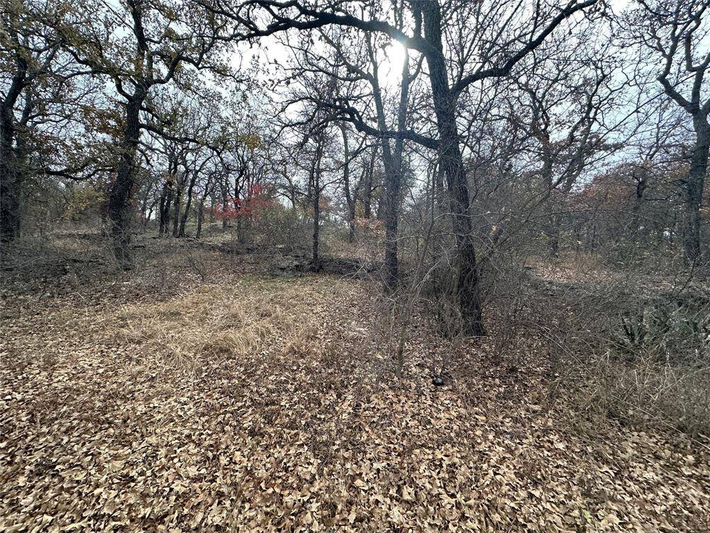 Brownwood, TX 76801,TBD Lot 48 County Road 600