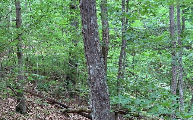 Blairsville, GA 30512,Lot 18 Bruce Mountain