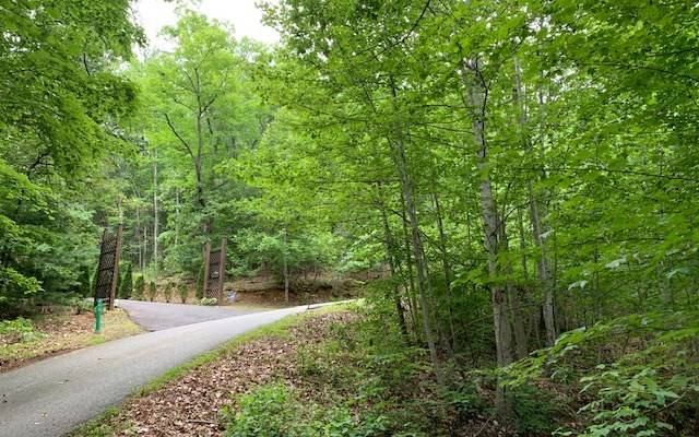 Blairsville, GA 30512,Lot 18 Bruce Mountain