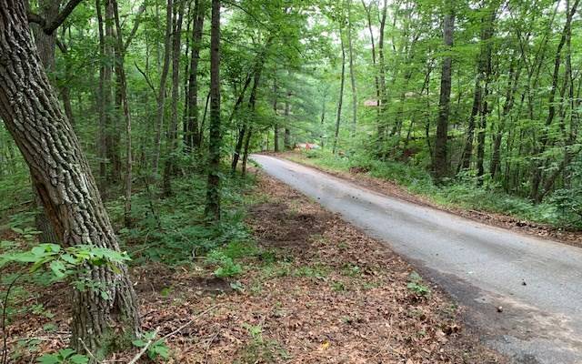 Blairsville, GA 30512,Lot 18 Bruce Mountain