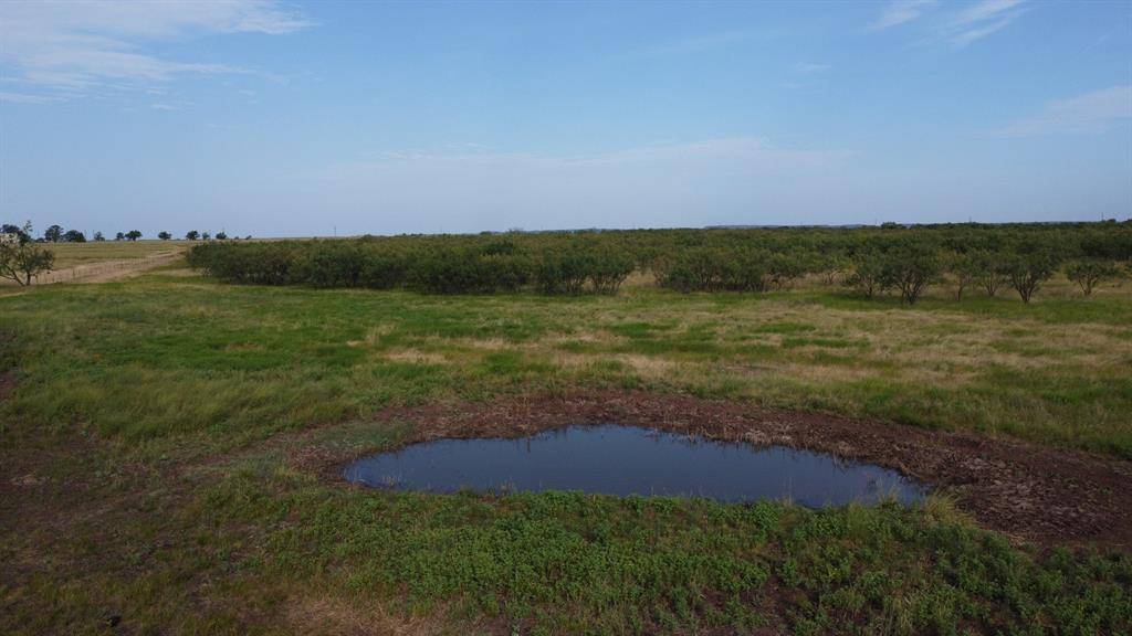 Ovalo, TX 79451,TBD County Road 184