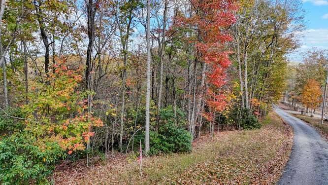 Morganton, GA 30560,Lot 8 Mull Lane