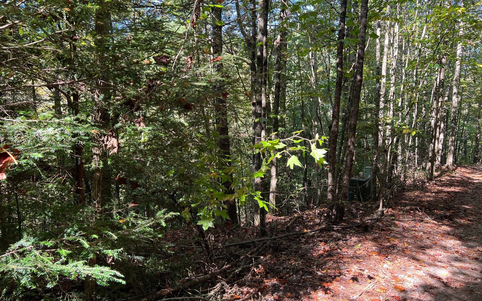 Ellijay, GA 30540,5 ACRES Conasauga Drive