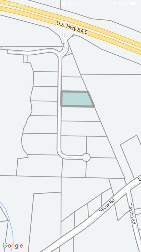 Ashford, AL 36312,205 Thornberry Place