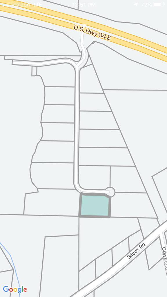 Ashford, AL 36312,214 Thornberry Place