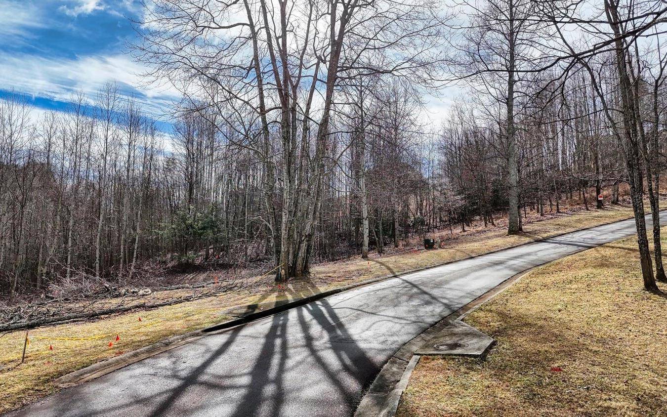 Blairsville, GA 30512,0 The Summit Lot 69