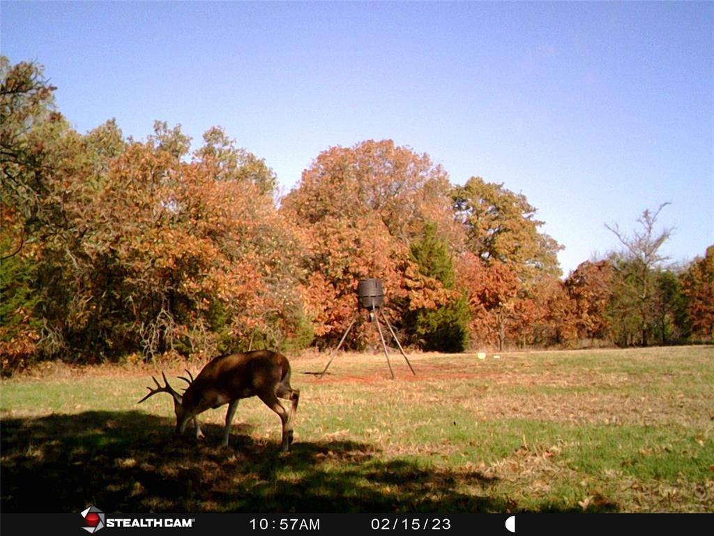 Tecumseh, OK 74873,10 acres on 126 Road