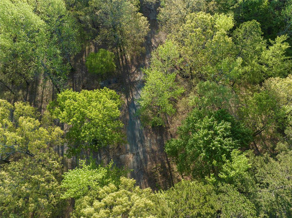 Broken Bow, OK 74728,21534 N US Highway 259