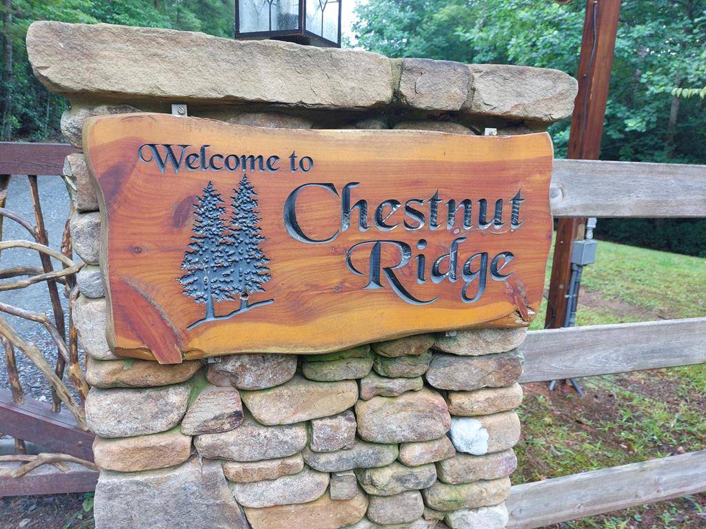 Blue Ridge, GA 30513,174 Chestnut Ridge