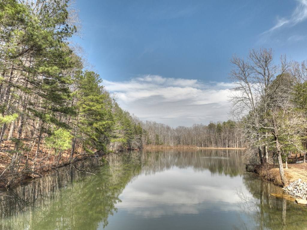 Ellijay, GA 30536,88 Talona Lake Lane