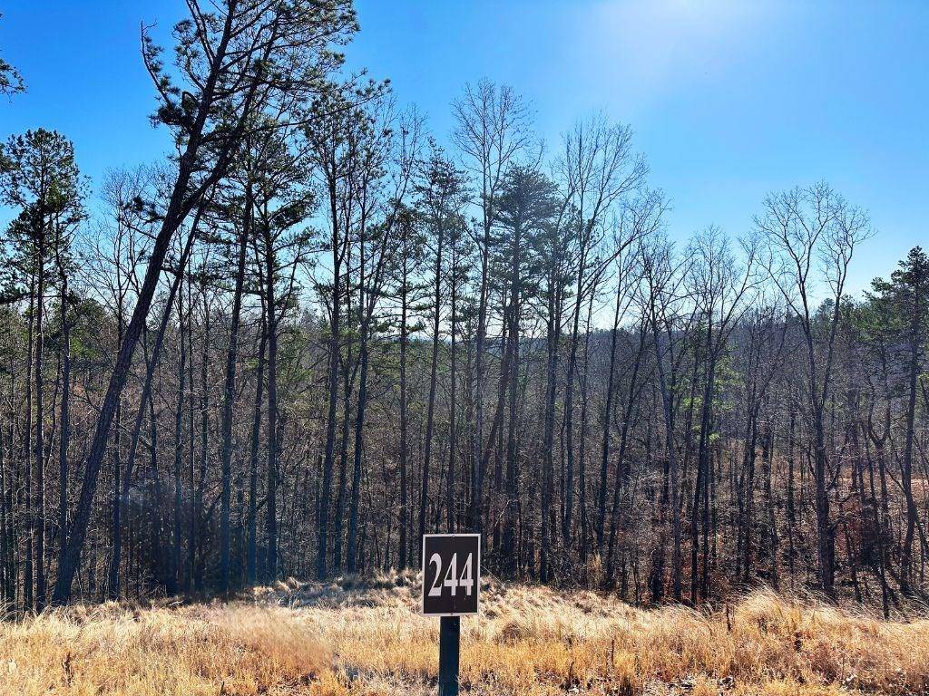 Talking Rock, GA 30175,Lot 244 Spear Point Dr