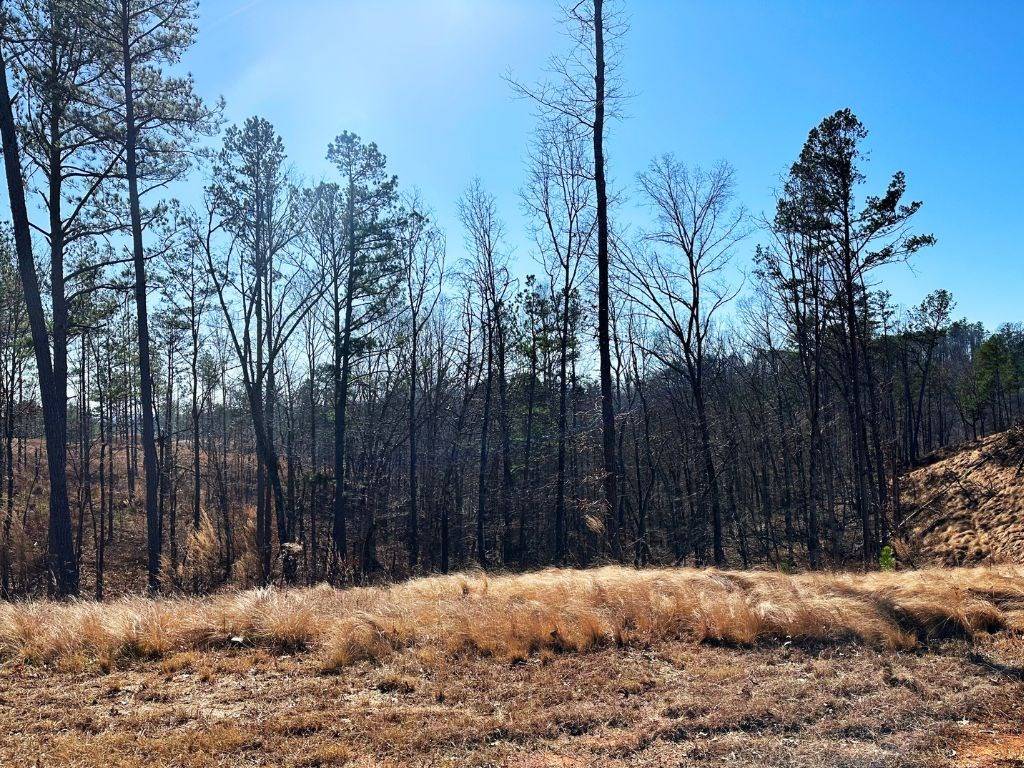 Talking Rock, GA 30175,Lot 244 Spear Point Dr