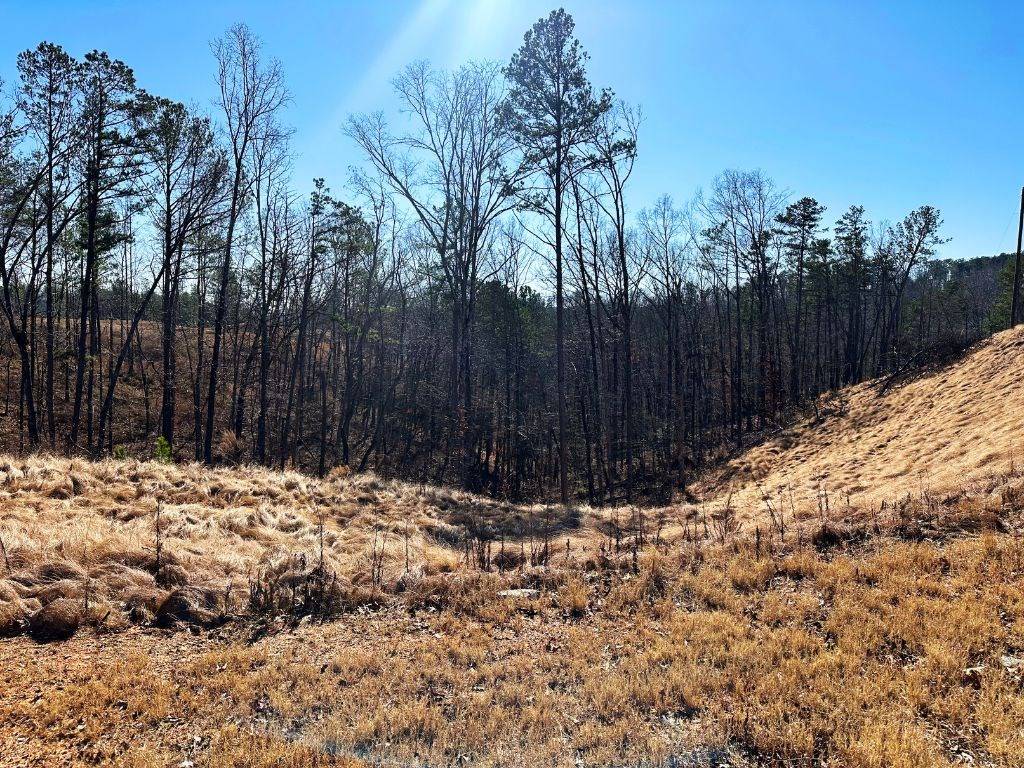 Talking Rock, GA 30175,Lot 244 Spear Point Dr