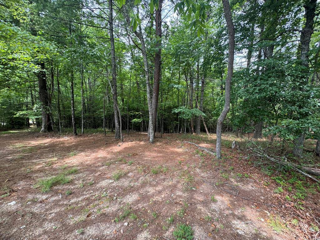 Murphy, NC 28906,Lot 1 Laurelwood Circle