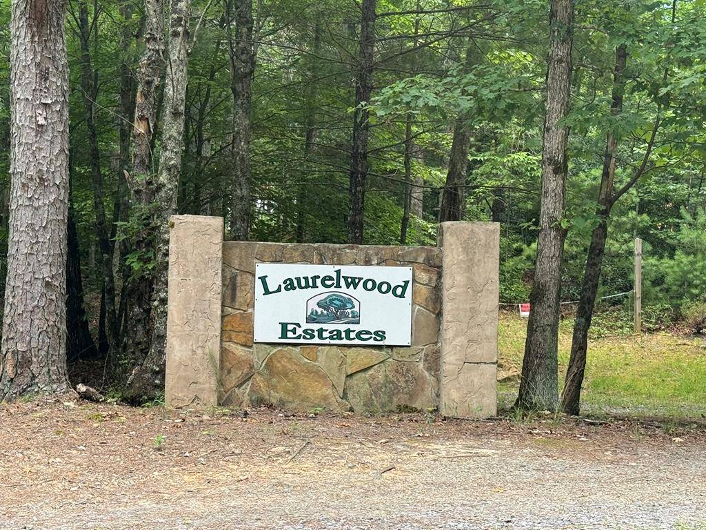 Murphy, NC 28906,Lot 1 Laurelwood Circle