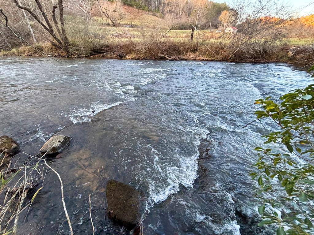 Cherry Log, GA 30522,367 AC River Escape Trail