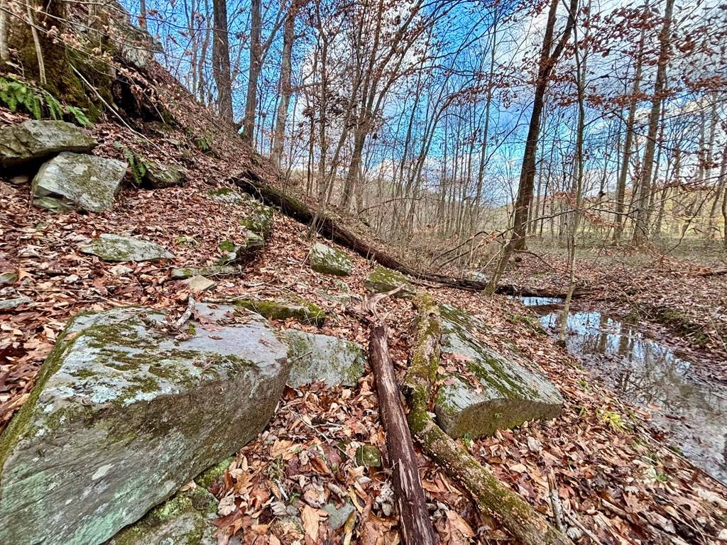 Cherry Log, GA 30522,367 AC River Escape Trail