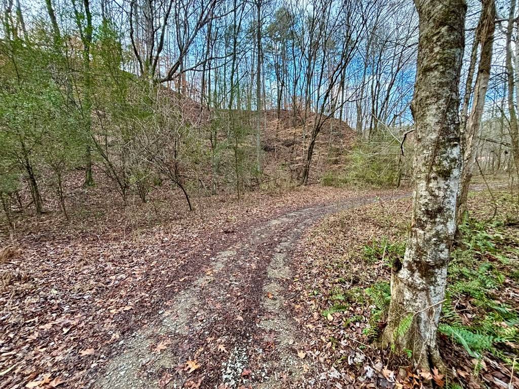 Cherry Log, GA 30522,367 AC River Escape Trail