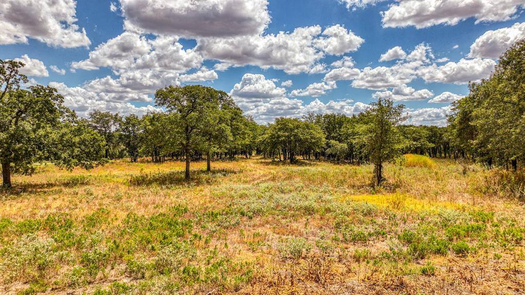 Poolville, TX 76487,TBD 6 Sedona Creek Court