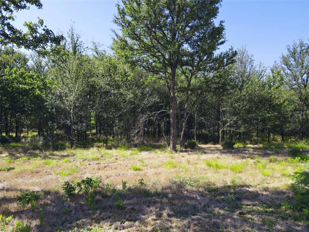 Corsicana, TX 75109,Lot 28 Sunrise Trail