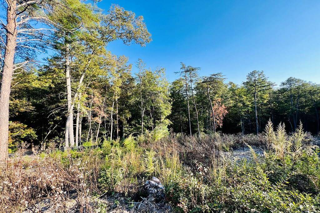 Mineral Bluff, GA 30559,Lot. 10 Mountain Laurel Ridge