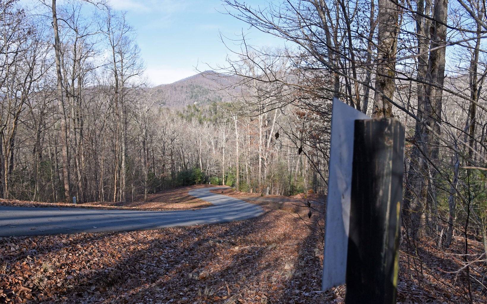 Hiawassee, GA 30546,LT 15 Wolfpen Gap Court