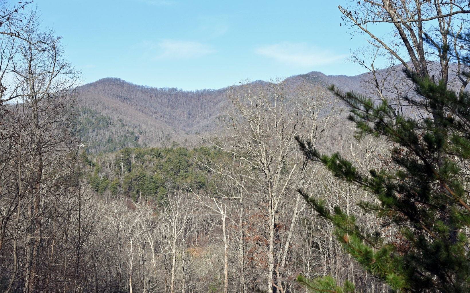 Hiawassee, GA 30546,LT 15 Wolfpen Gap Court