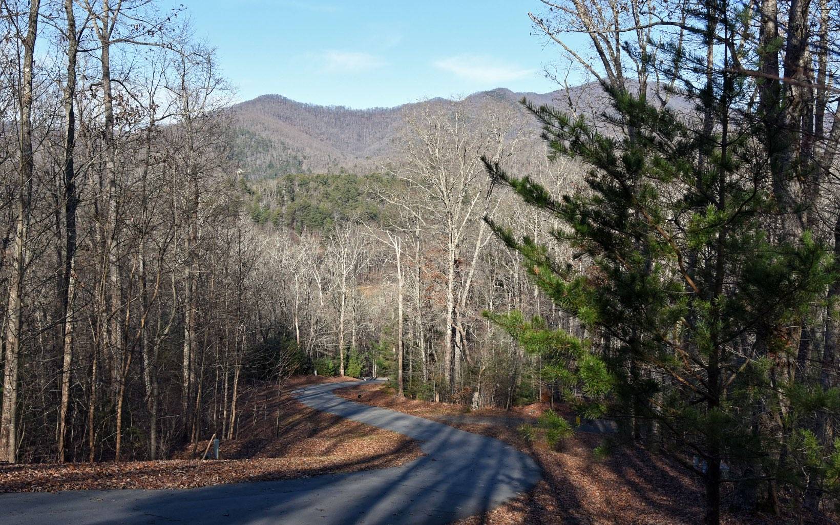 Hiawassee, GA 30546,LT 15 Wolfpen Gap Court