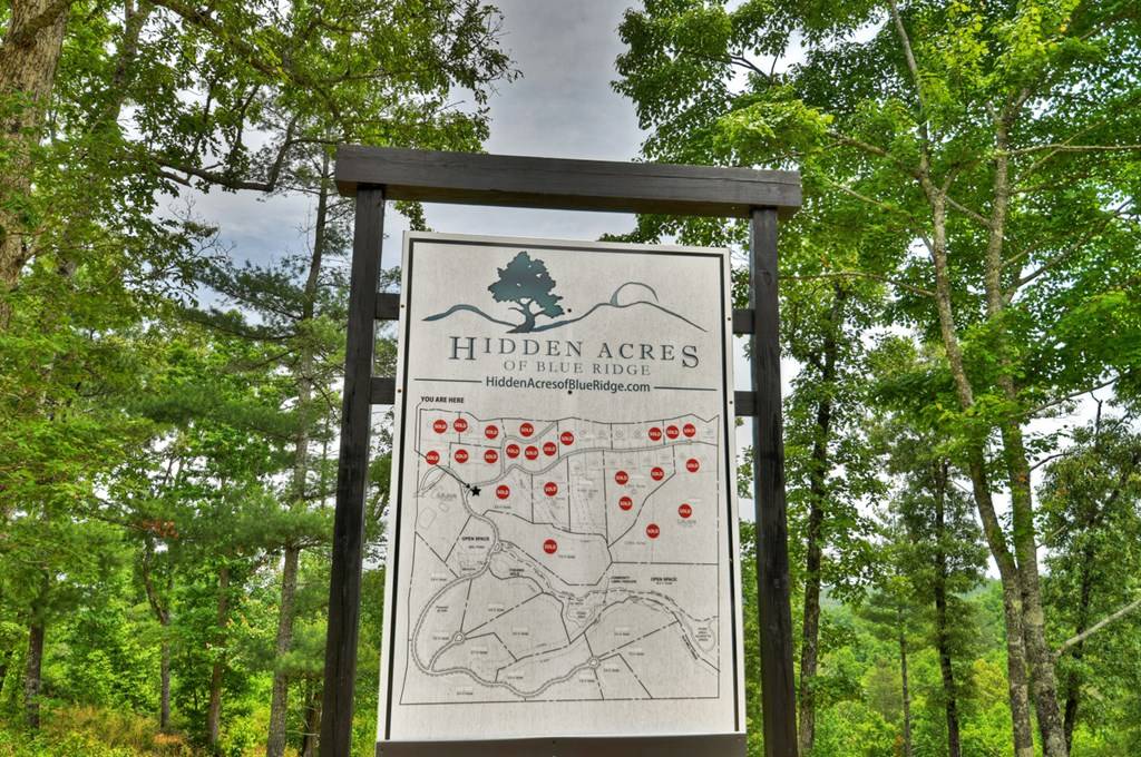 Blue Ridge, GA 30513,LOT 2 Hidden Acres