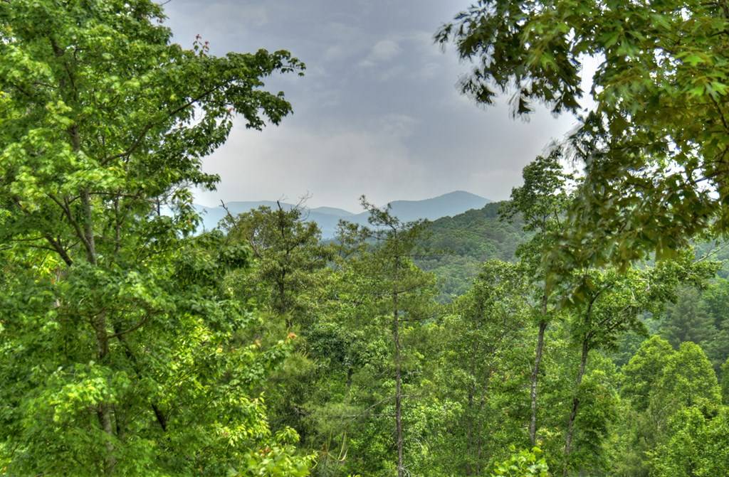 Blue Ridge, GA 30513,LOT 2 Hidden Acres