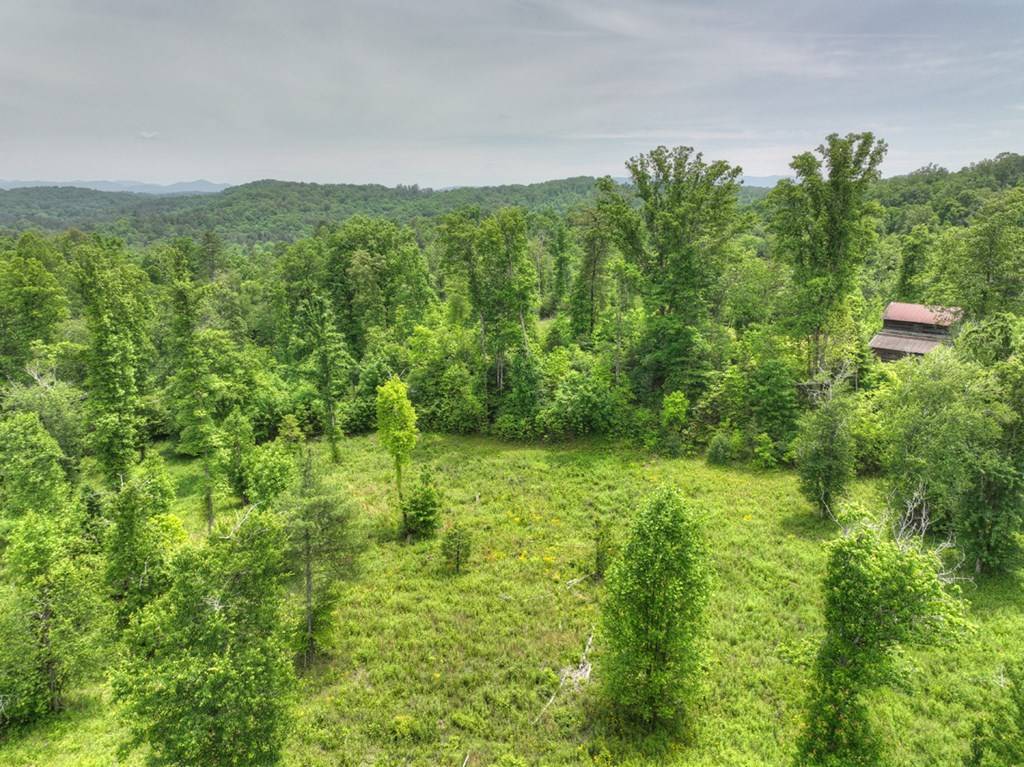 Blue Ridge, GA 30513,LOT 13 Hidden Acres