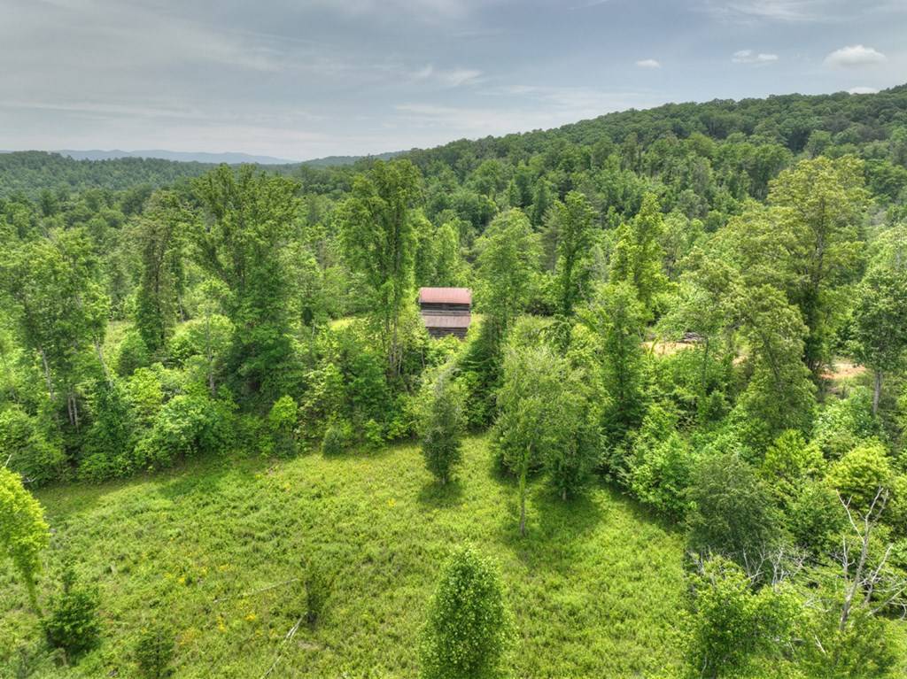 Blue Ridge, GA 30513,LOT 13 Hidden Acres