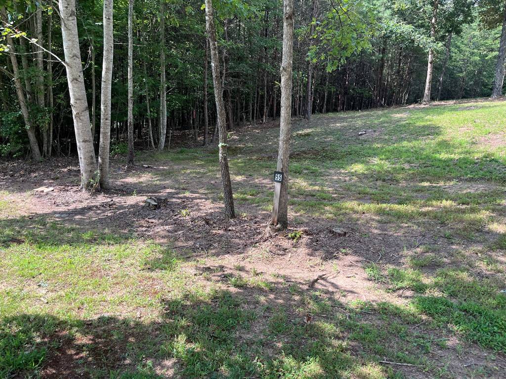 Young Harris, GA 30582,Lot 55 Ray Drive