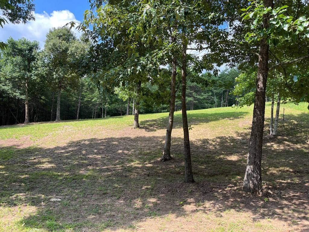 Young Harris, GA 30582,Lot 55 Ray Drive