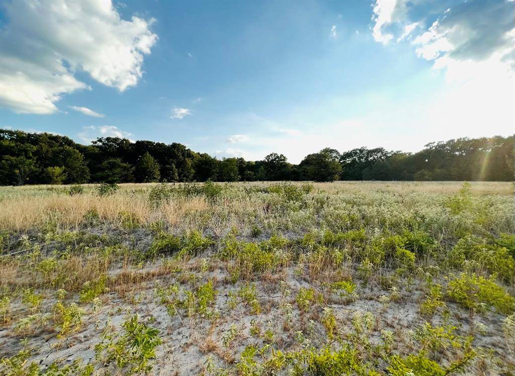 Lone Oak, TX 75453,LOT 10 Wood Creek Drive