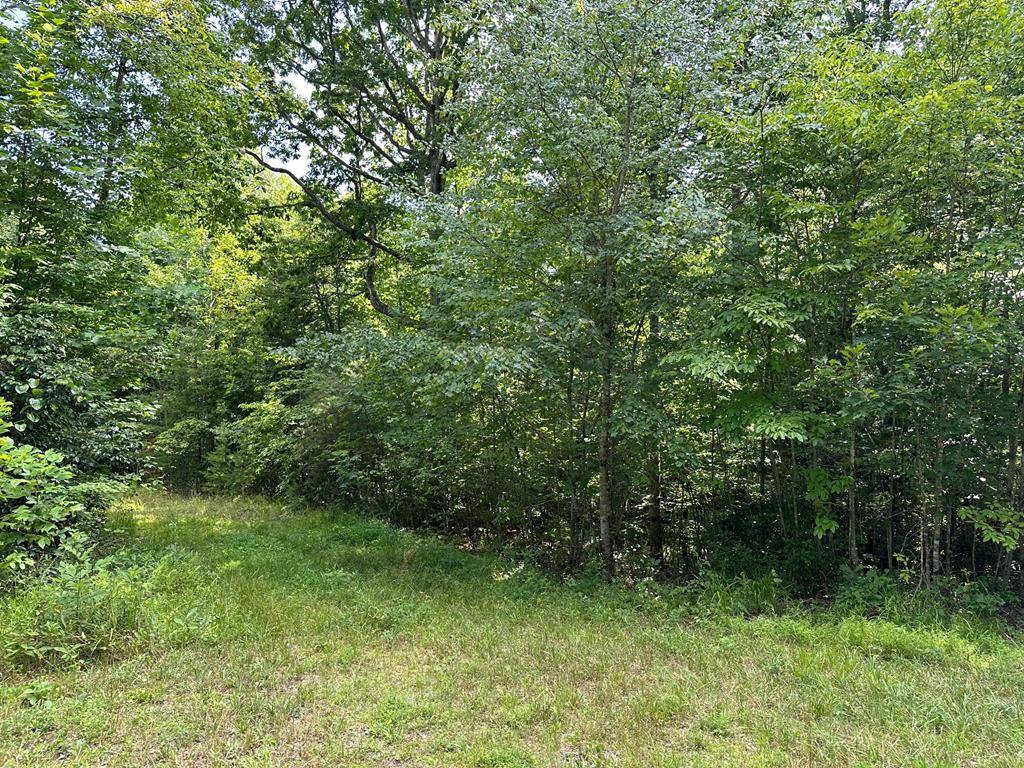 Morganton, GA 30560,Lot 30 Fairview Drive