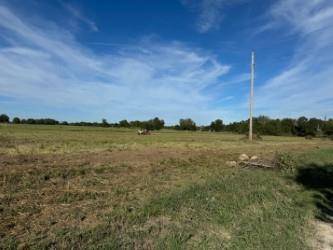 Pattonville, TX 75468,000 CR 14400 #4