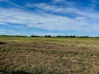 Pattonville, TX 75468,000 CR 14400 #4