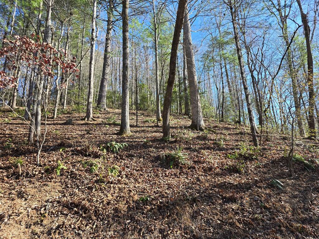 Hiawassee, GA 30546,Lot 67 Hi Ridge Road