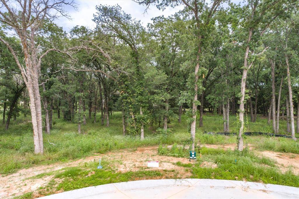 Canton, TX 75103,0000 Ellis