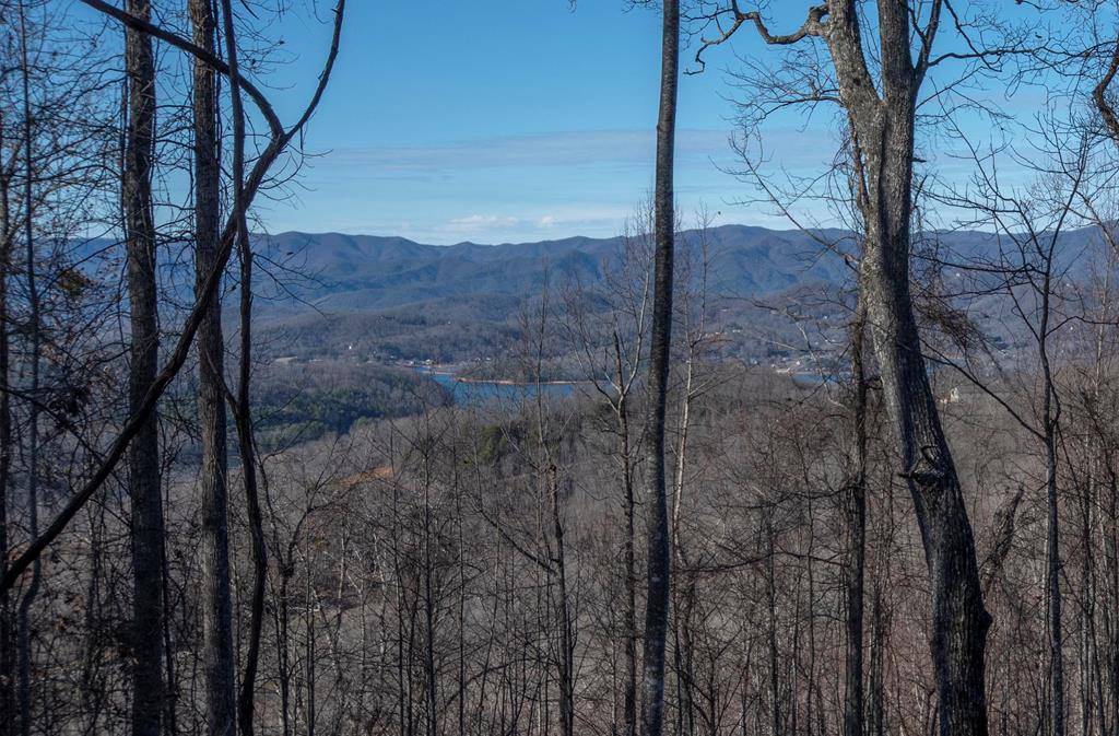 Hayesville, NC 28904,Lot 70 Dan Knob