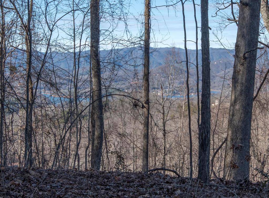 Hayesville, NC 28904,Lot 70 Dan Knob