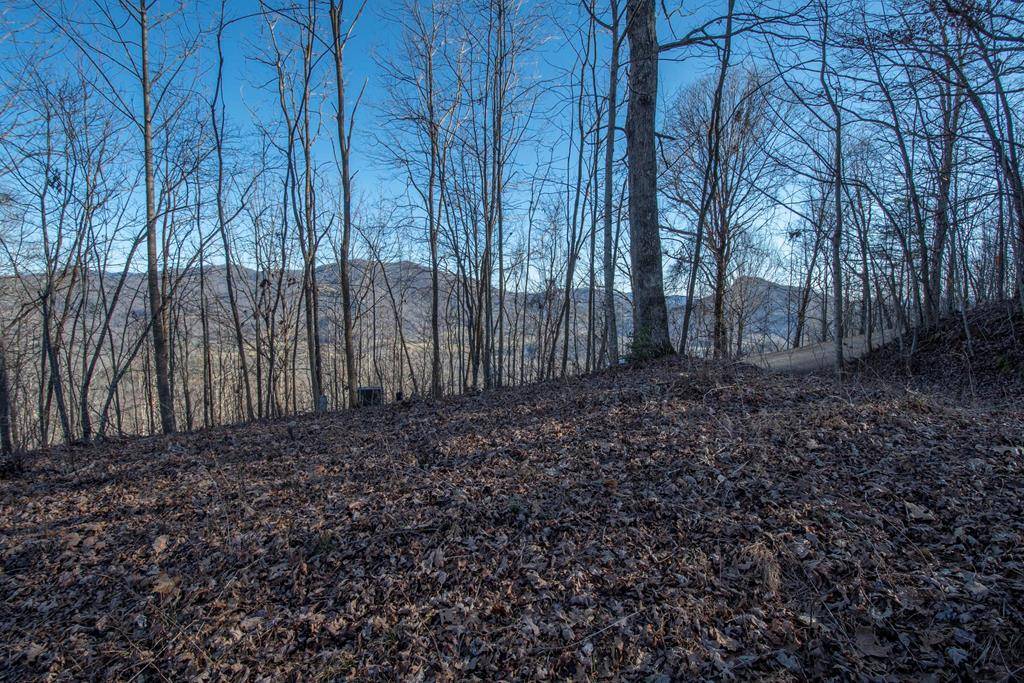 Hayesville, NC 28904,Lot 70 Dan Knob