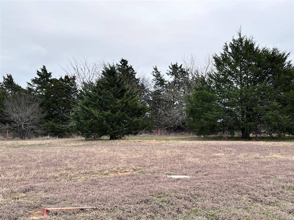 Gordonville, TX 76245,Lot 20 La Paloma Circle