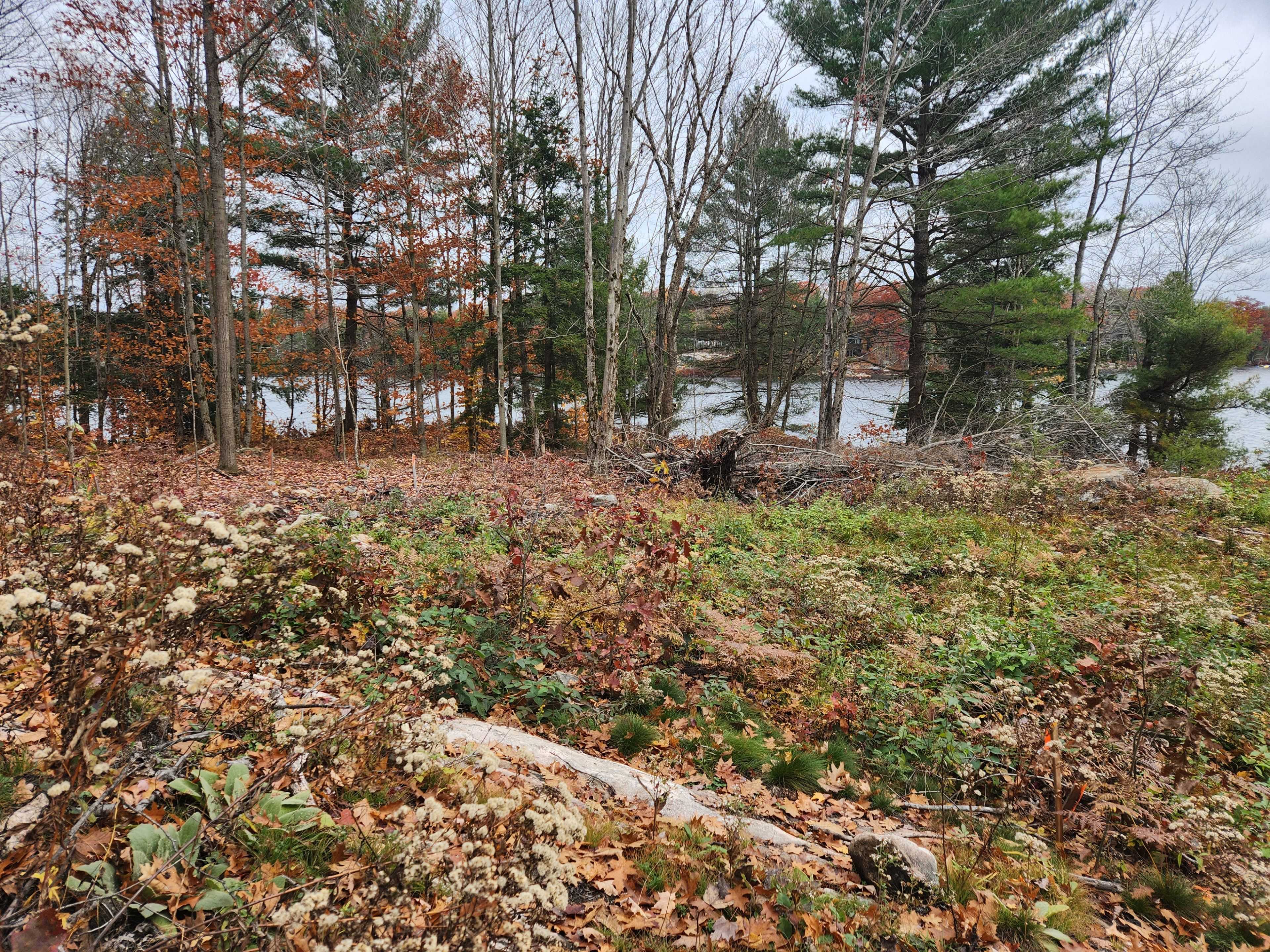 Georgian Bay, ON P0C 1H0,52 Hawkins Point RD