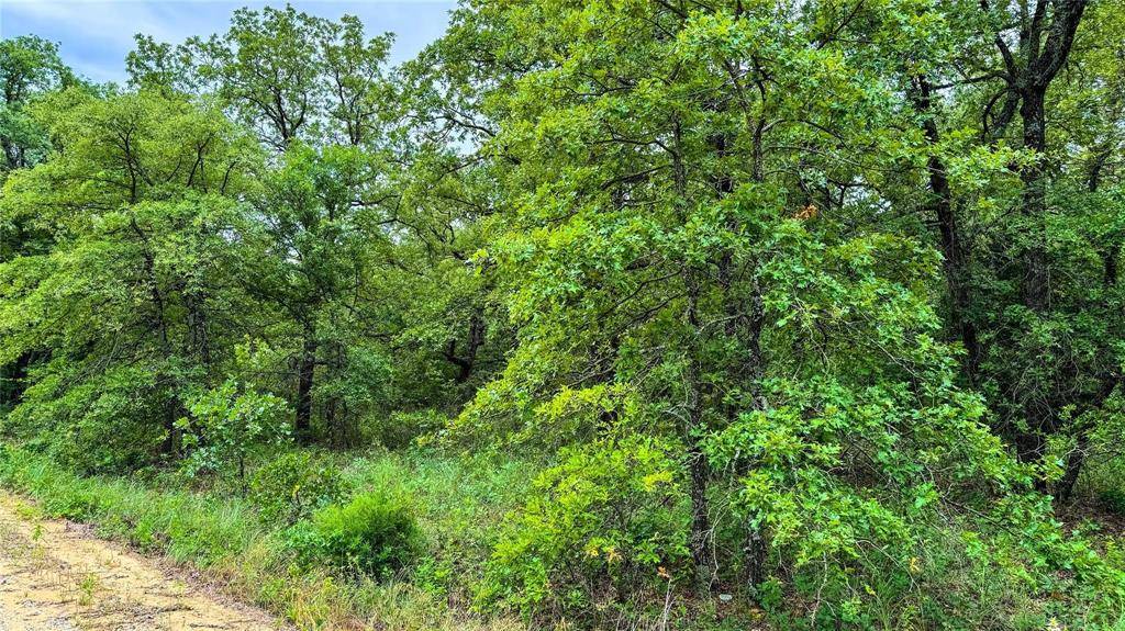 Nocona, TX 76255,143 Briarwood Trail