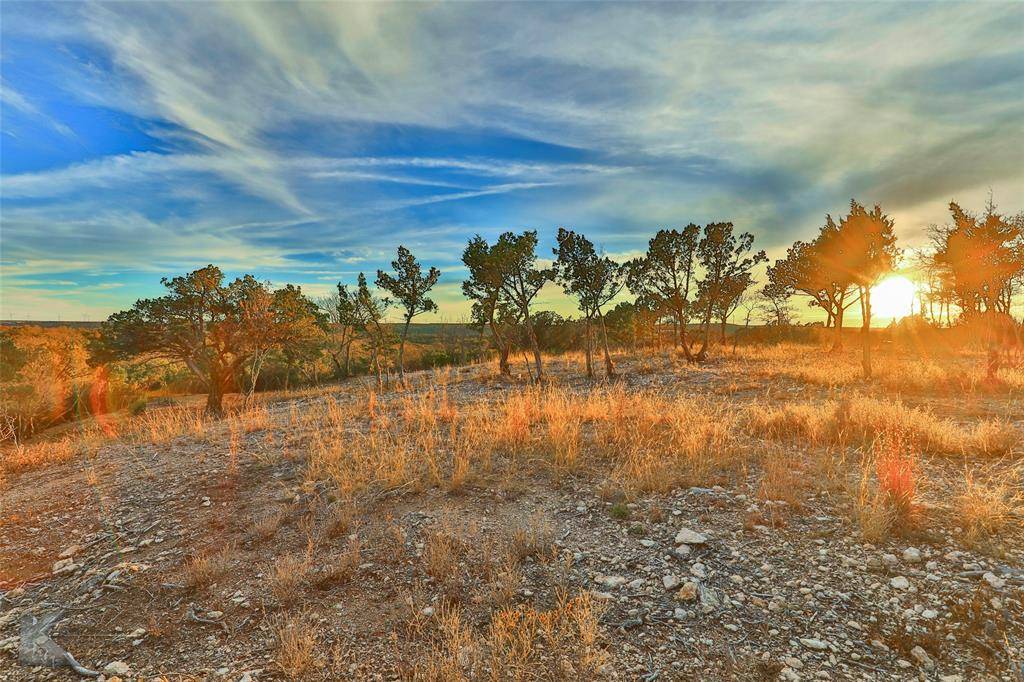 Tuscola, TX 79562,35 Acres County Road 322