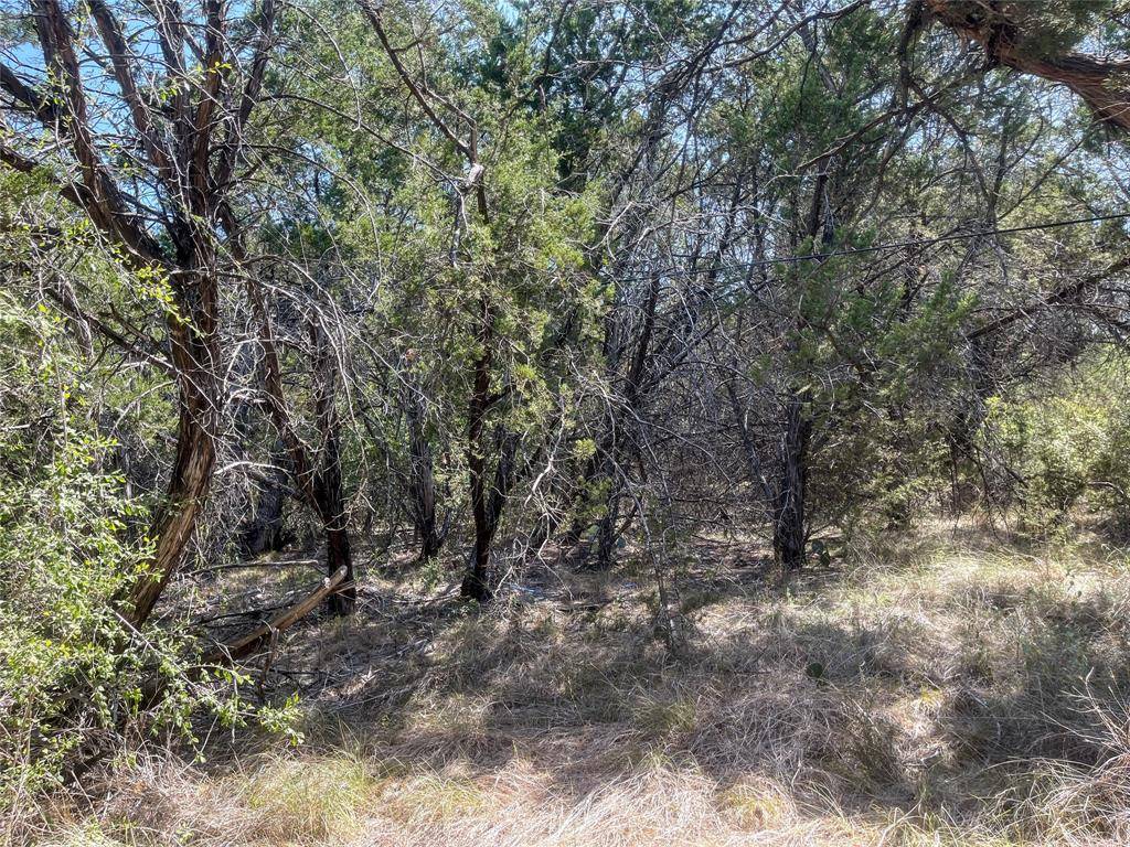 Palo Pinto, TX 76484,00 S 3rd Avenue