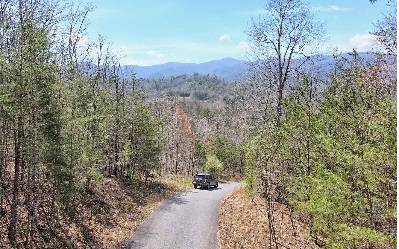 Hiawassee, GA 30546,LT17 Mill Ridge Road